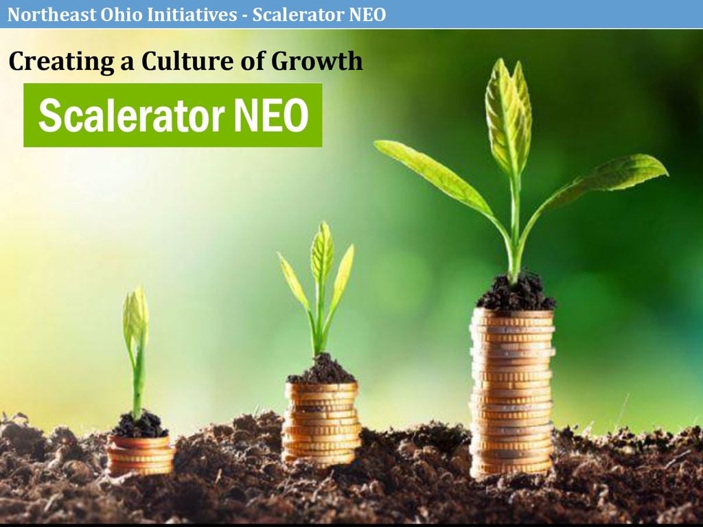 GreatWork Joins Scalerator Companies Helping to Grow NEO