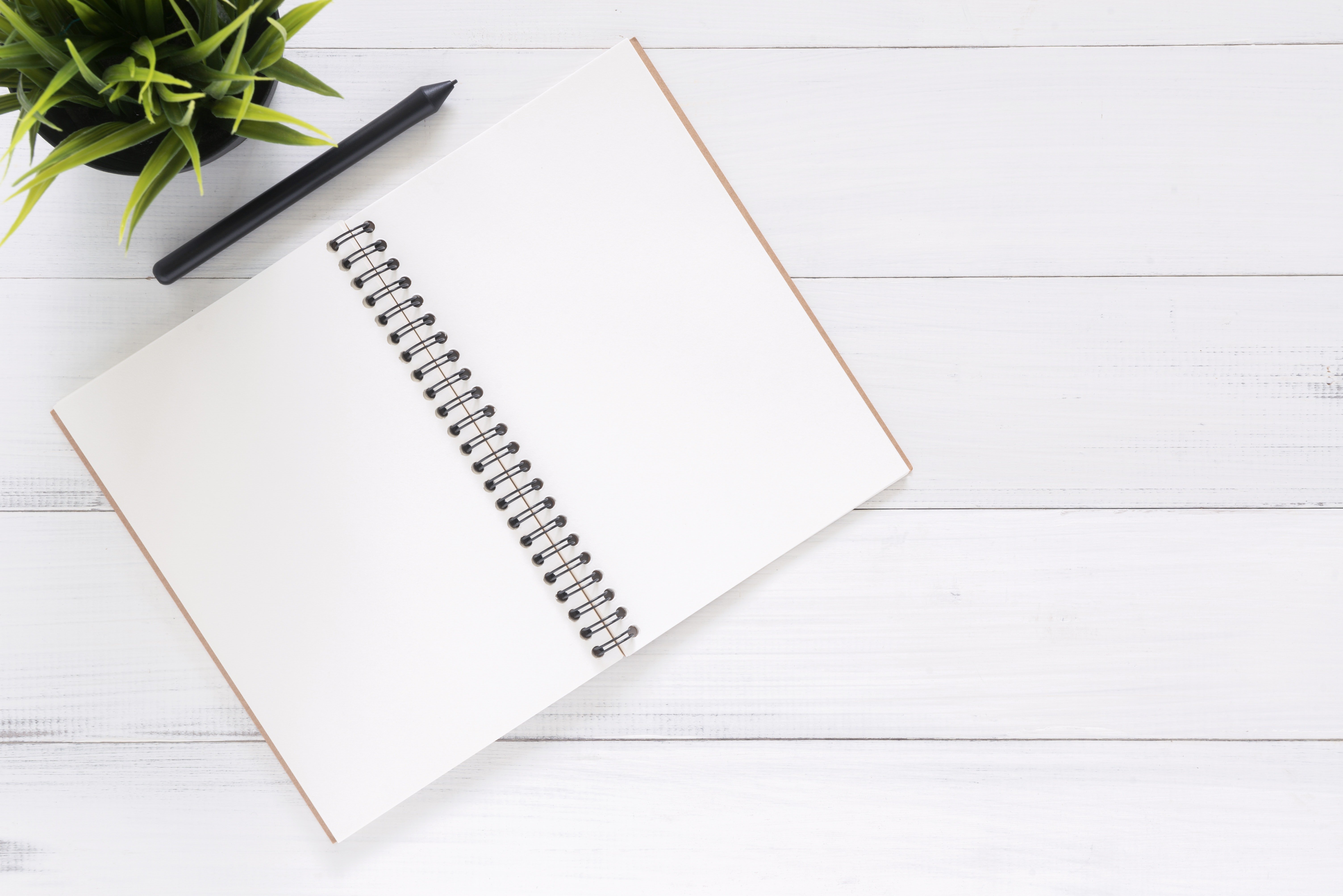 New Year, New Plan for Your Best Life?
